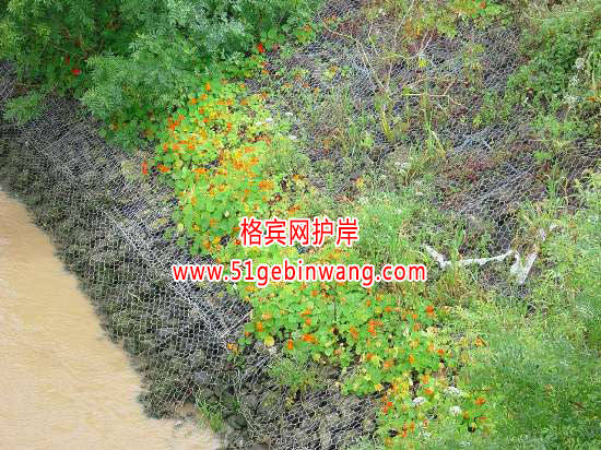 鍍鋅格賓網護岸