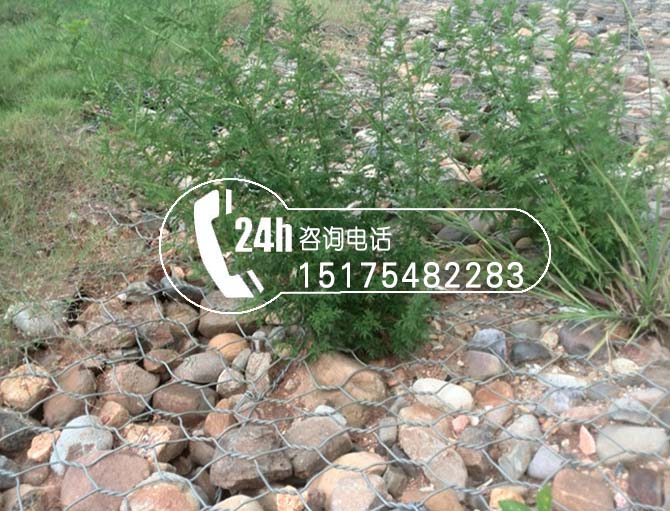 生態格網植被防護