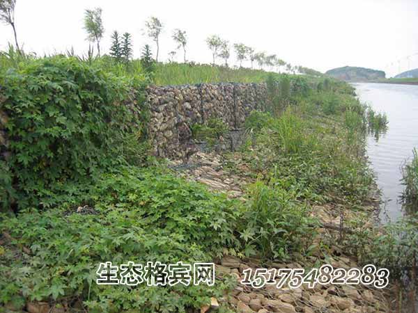 生態格賓