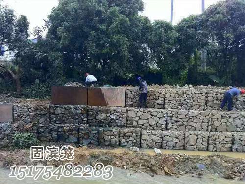 賓格網(wǎng)