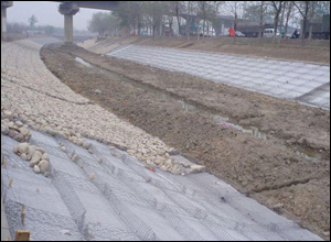 雷諾護墊